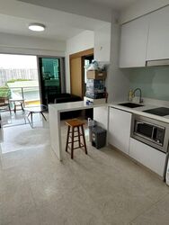 Eight Riversuites (D12), Condominium #520155411